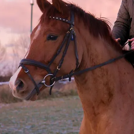 Im Obsthaus 9 Apartman