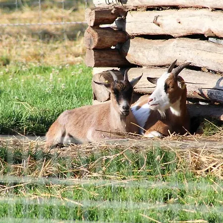 Apartman Im Obsthaus 9 *
